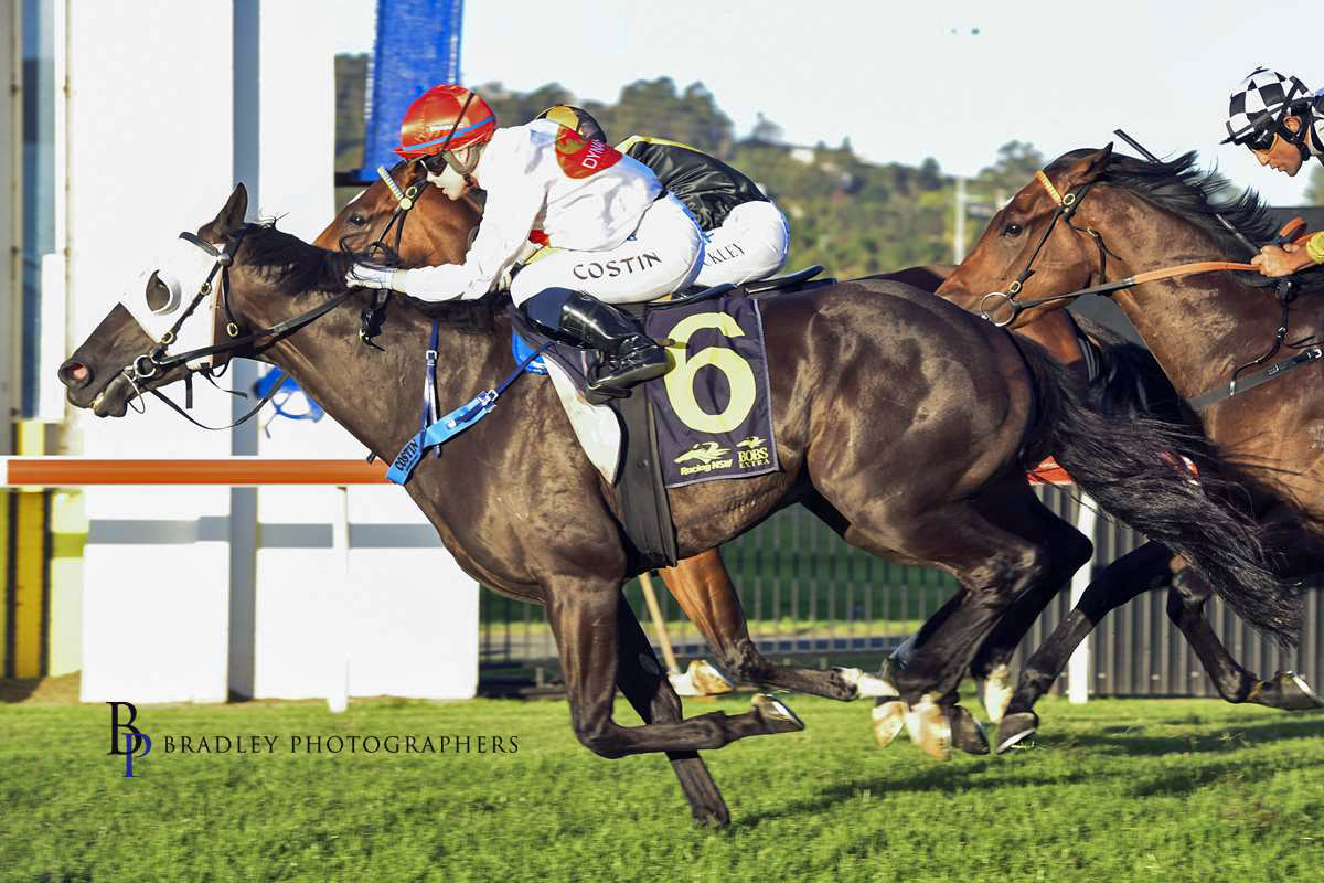 pure-rush-of-emotion-for-frenzied-owners-now-qld-derby-a-genuine-option